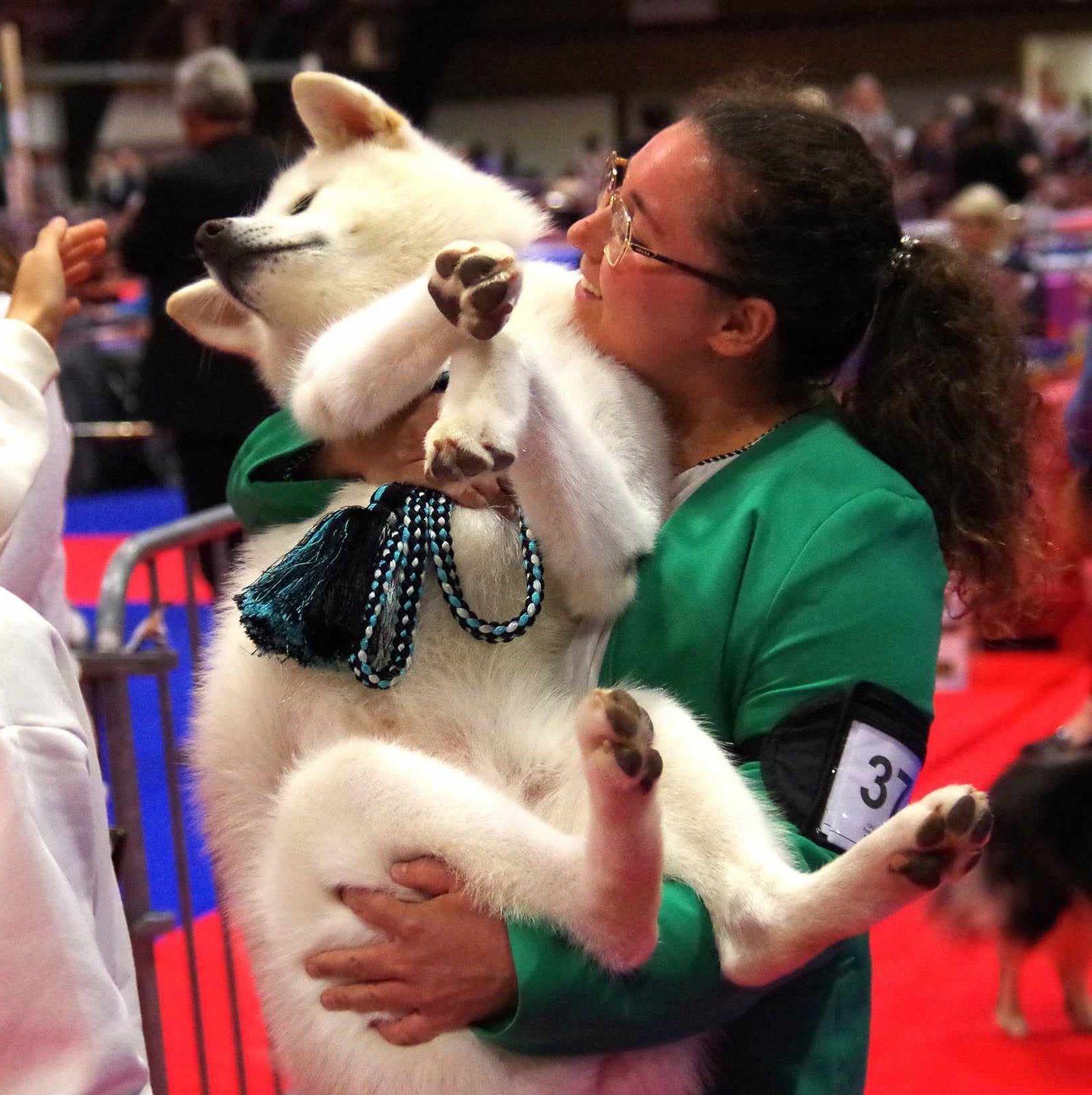 caractère de l'akita inu